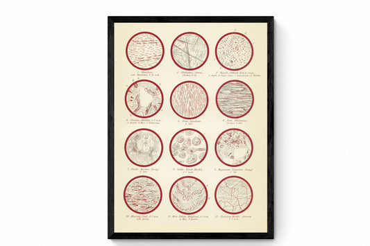 Geology Print