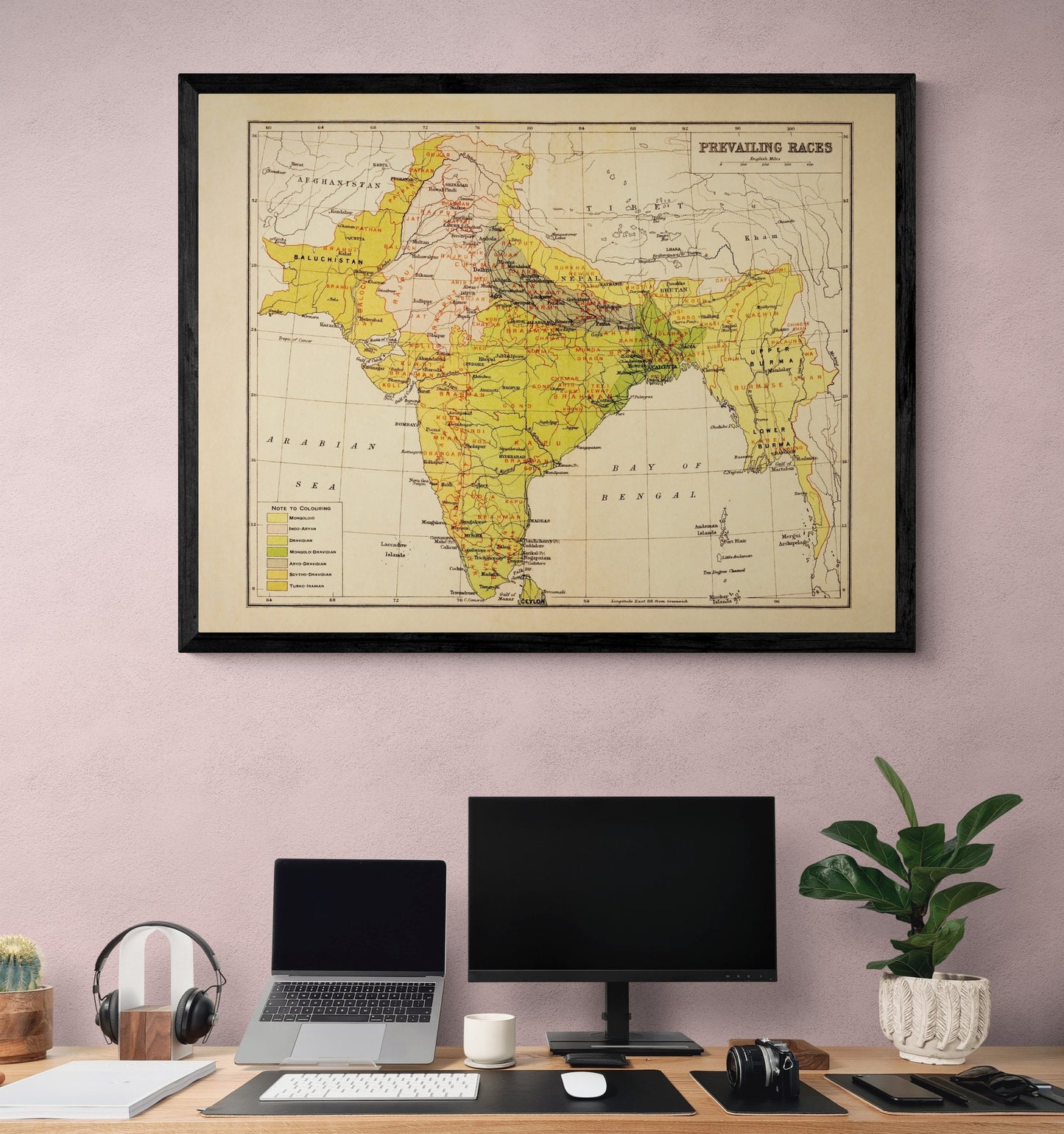India (Prevailing Races) Map - Antique Reproduction - Ethnology - Anthropology - Ethnography - Human Races - 1908 Map - Available Framed