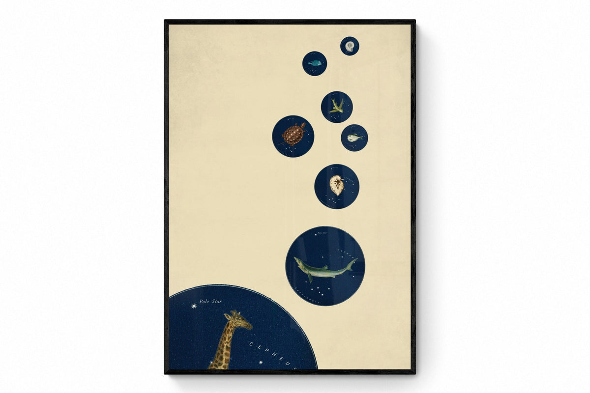 Celestial Bubbles Print ‚Äì antique art print from Ninska Designs