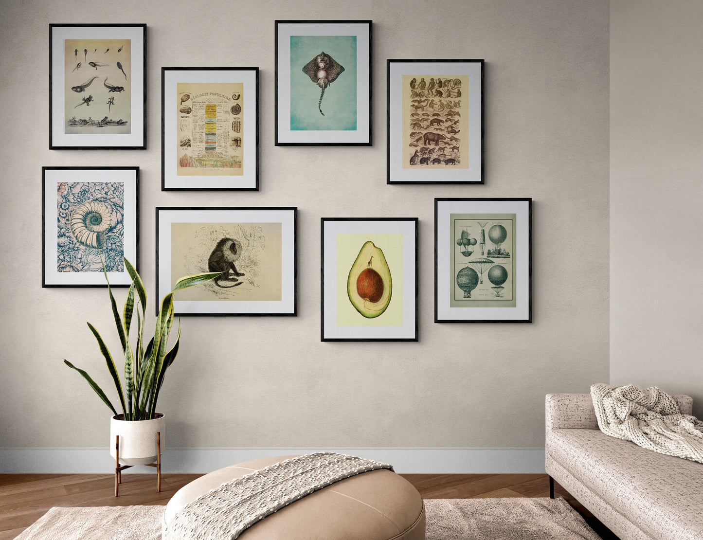 Aeronautics Print - Antique Art Reproduction - Hot Air Balloon - Parachute - Vintage Wall Art - Retro Wall Decor - Available Framed