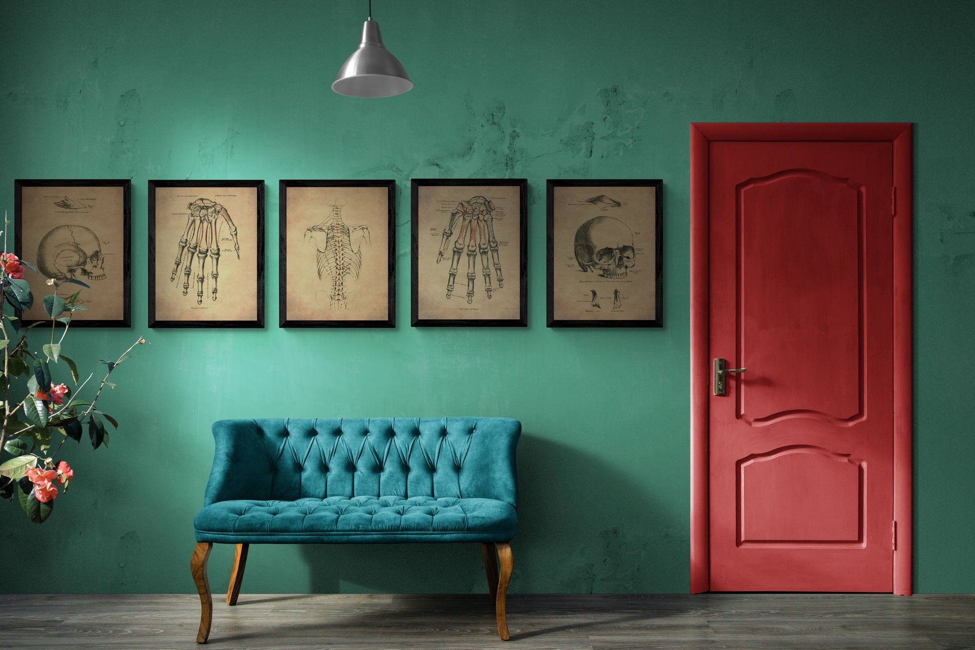 Skeleton Chest Print le Framed