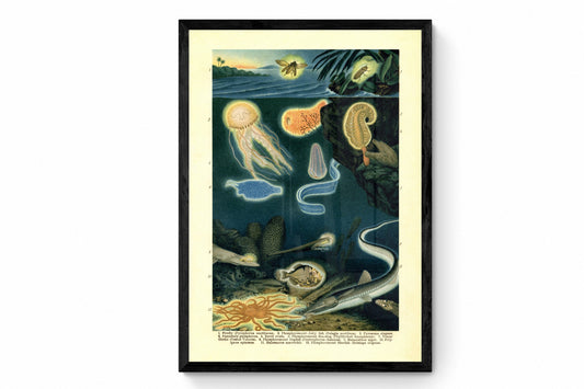 Phosphorescent Animals Print