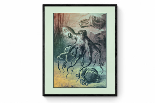 Octopus Print