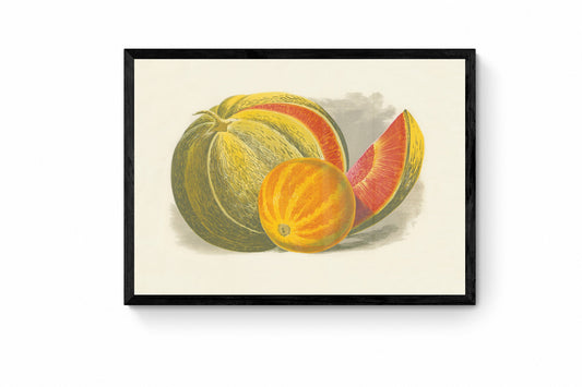 Melons Print