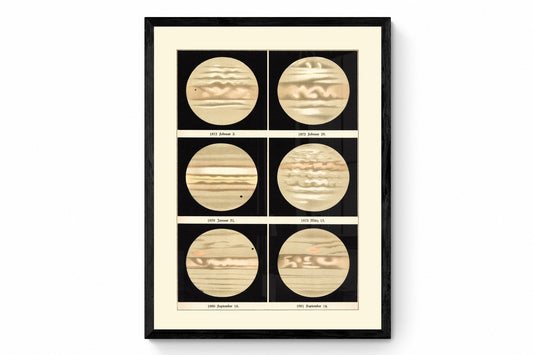 Jupiter Antique Art Reproduction