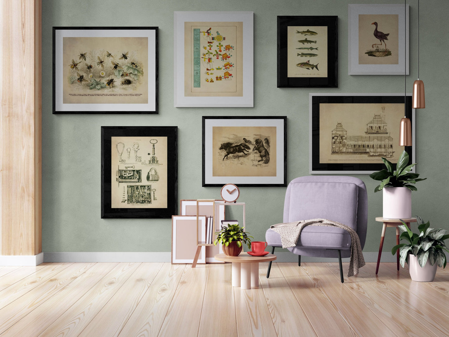 Beetles - Antique Reproduction - Entomology - Coleoptera - Insect Art - Natural History - Available Framed