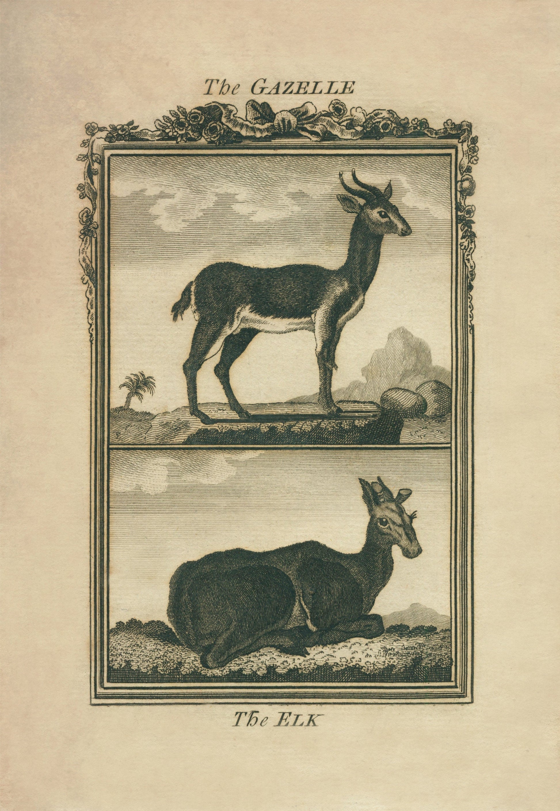 Gazelle and Elk Print – antique art print from Ninska Designs