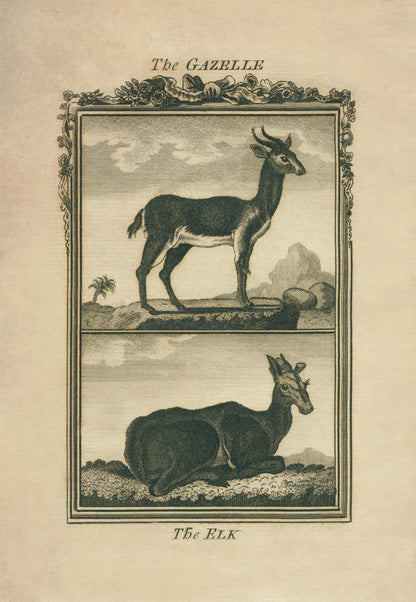 Gazelle and Elk Print – antique art print from Ninska Designs