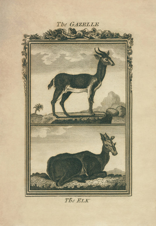 Gazelle and Elk Print – antique art print from Ninska Designs