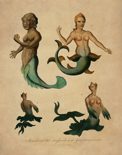 Mermaids exhibited successively in the years 1758,1775 and 1794 Antique Reproduction 1817 – antique art print from Ninska Designs