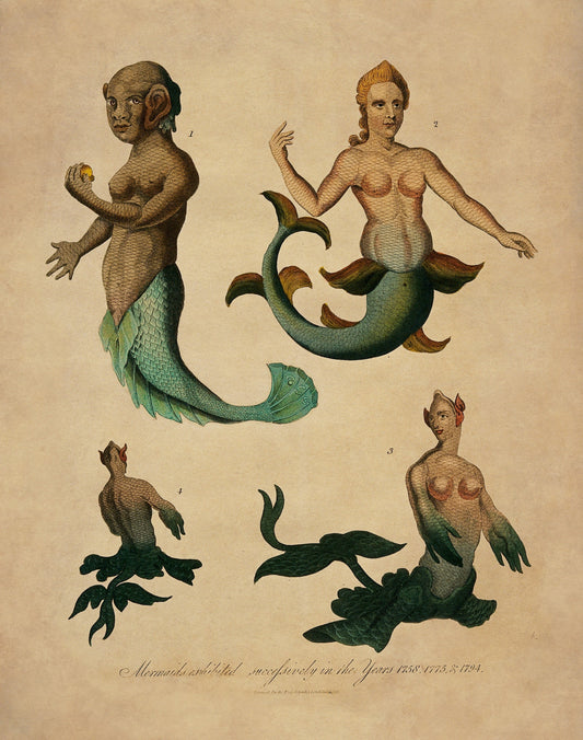 Mermaids exhibited successively in the years 1758,1775 and 1794 Antique Reproduction 1817 – antique art print from Ninska Designs