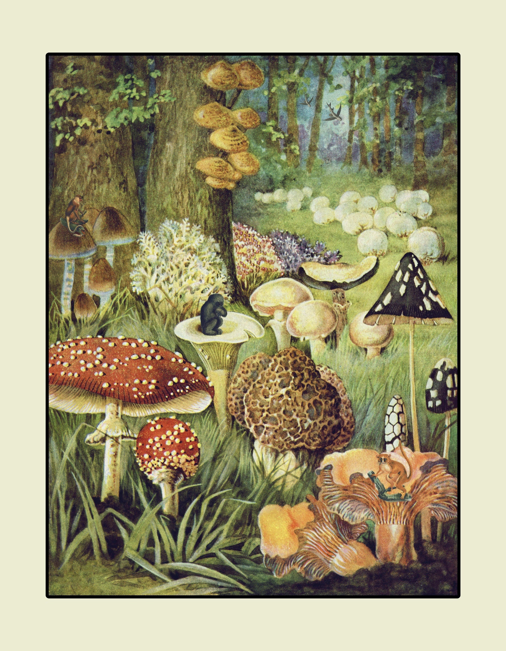 Fungi World – antique art print from Ninska Designs