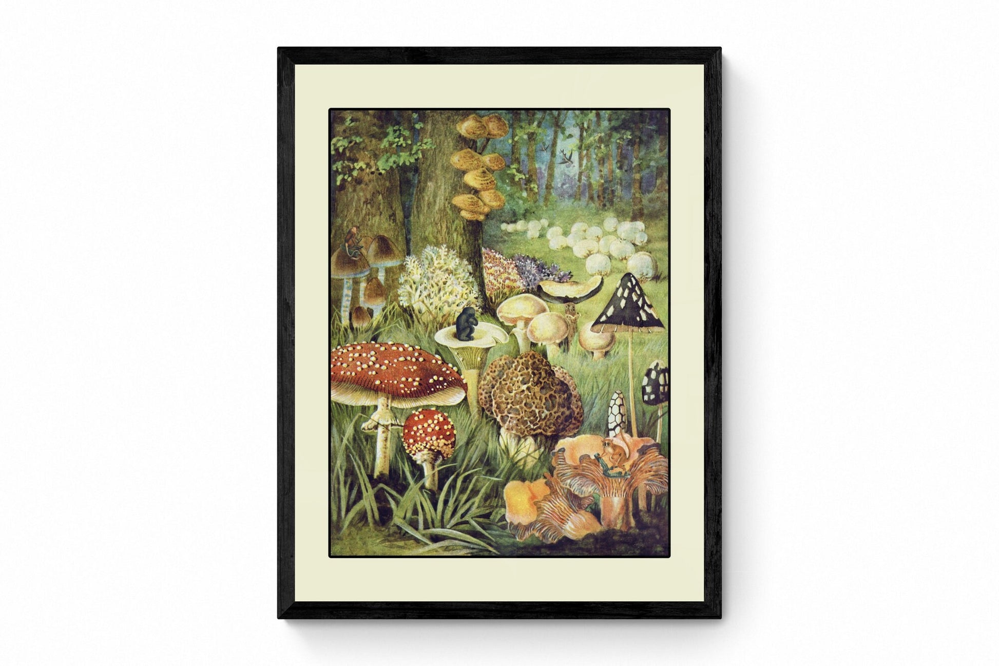 Fungi World - Antique Art Reproduction - Surreal Antique Collage - Vintage Wall Art - Retro Wall Decor - Available Framed