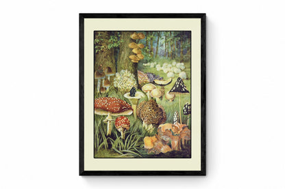 Fungi World - Antique Art Reproduction - Surreal Antique Collage - Vintage Wall Art - Retro Wall Decor - Available Framed