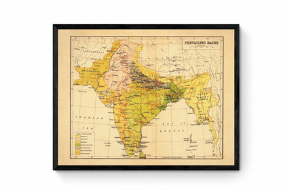 India (Prevailing Races) Map - Antique Reproduction - Ethnology - Anthropology - Ethnography - Human Races - 1908 Map - Available Framed