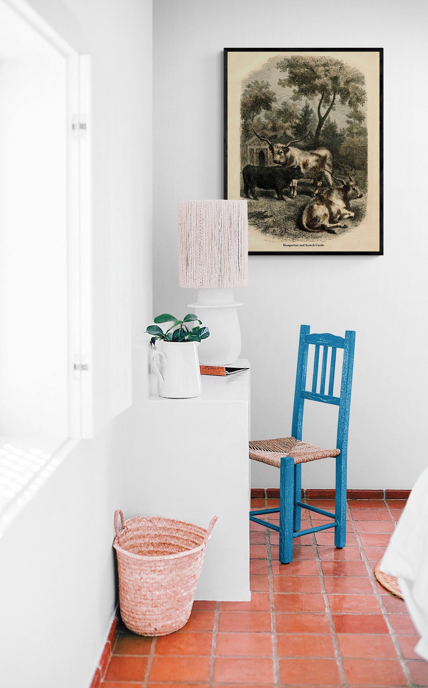 Hungarian & Scotch Cattle - farm prints- farm art- cows - Antique Art Reproduction - Vintage Wall Art - Retro Wall Decor - Available Framed