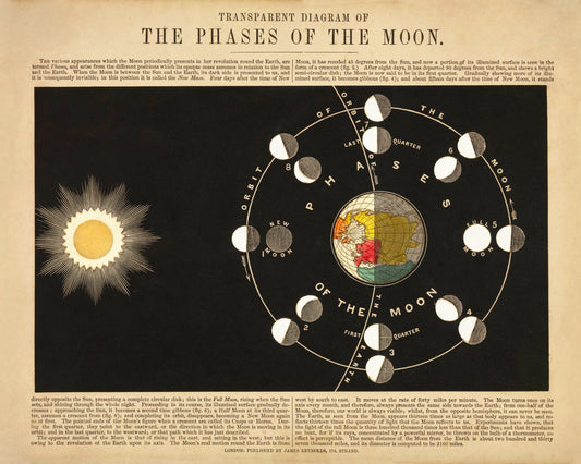 Phases of the Moon Print 1846 – antique art print from Ninska Designs