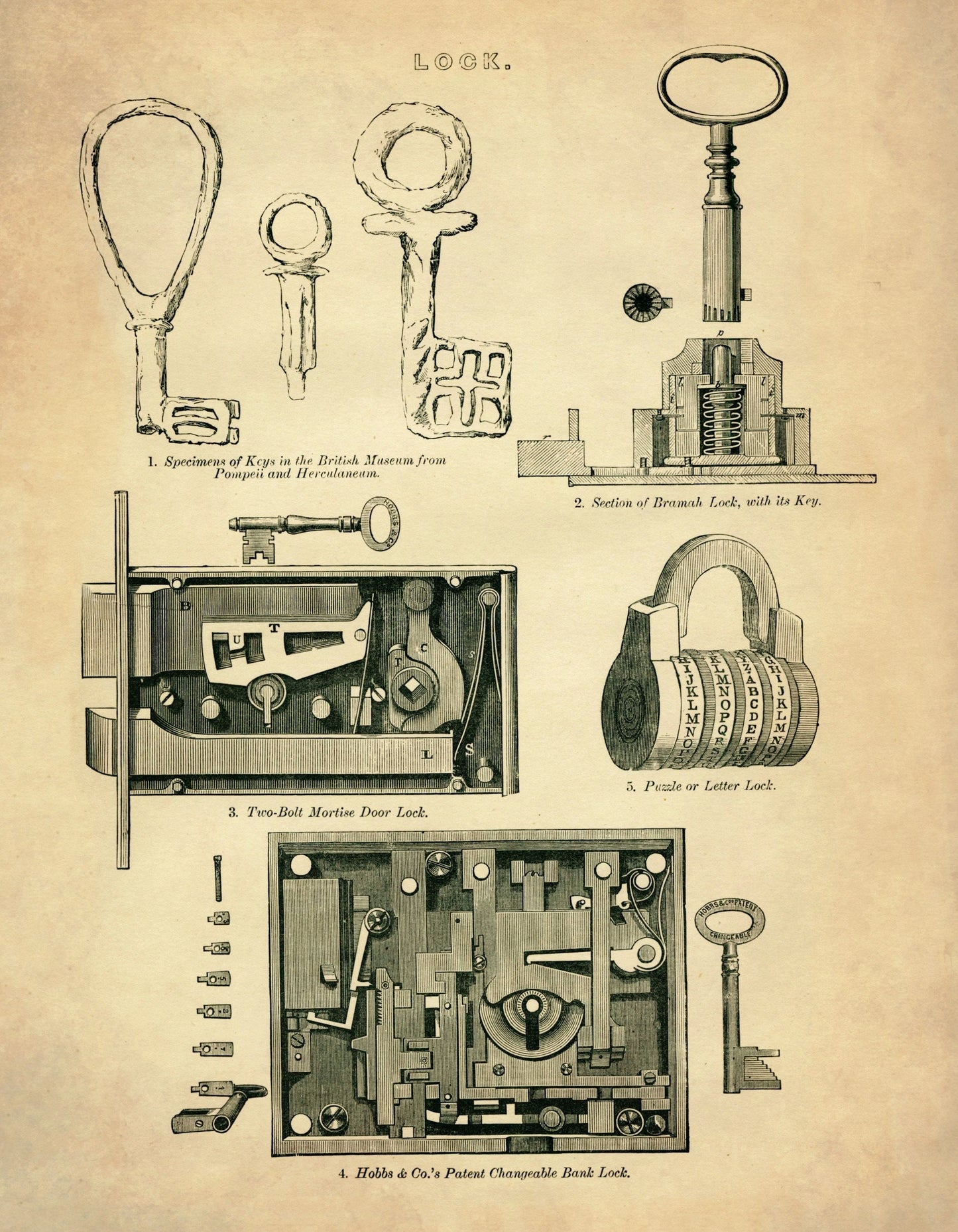 Types of Lock – antique art print from Ninska Designs