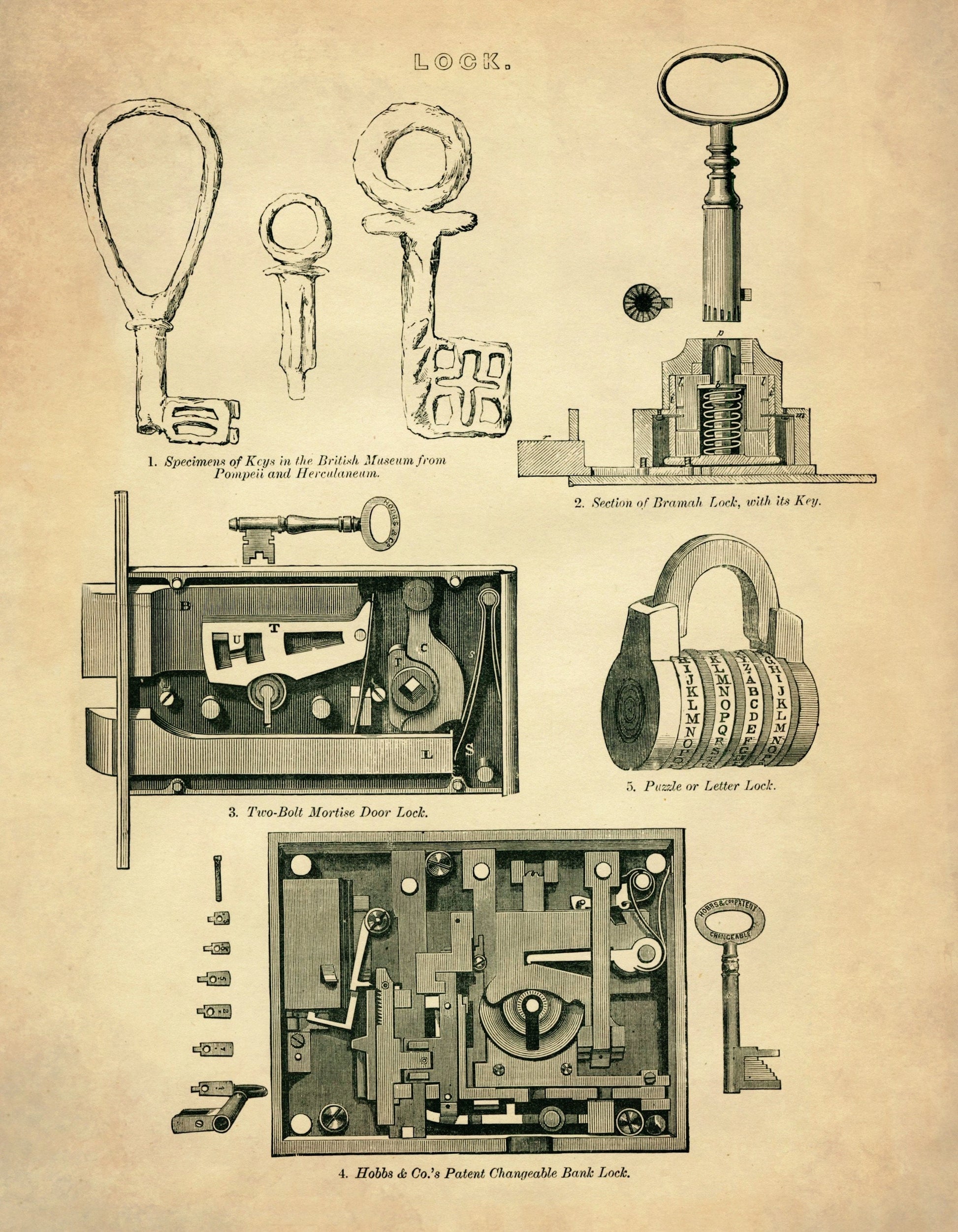 Types of Lock – antique art print from Ninska Designs
