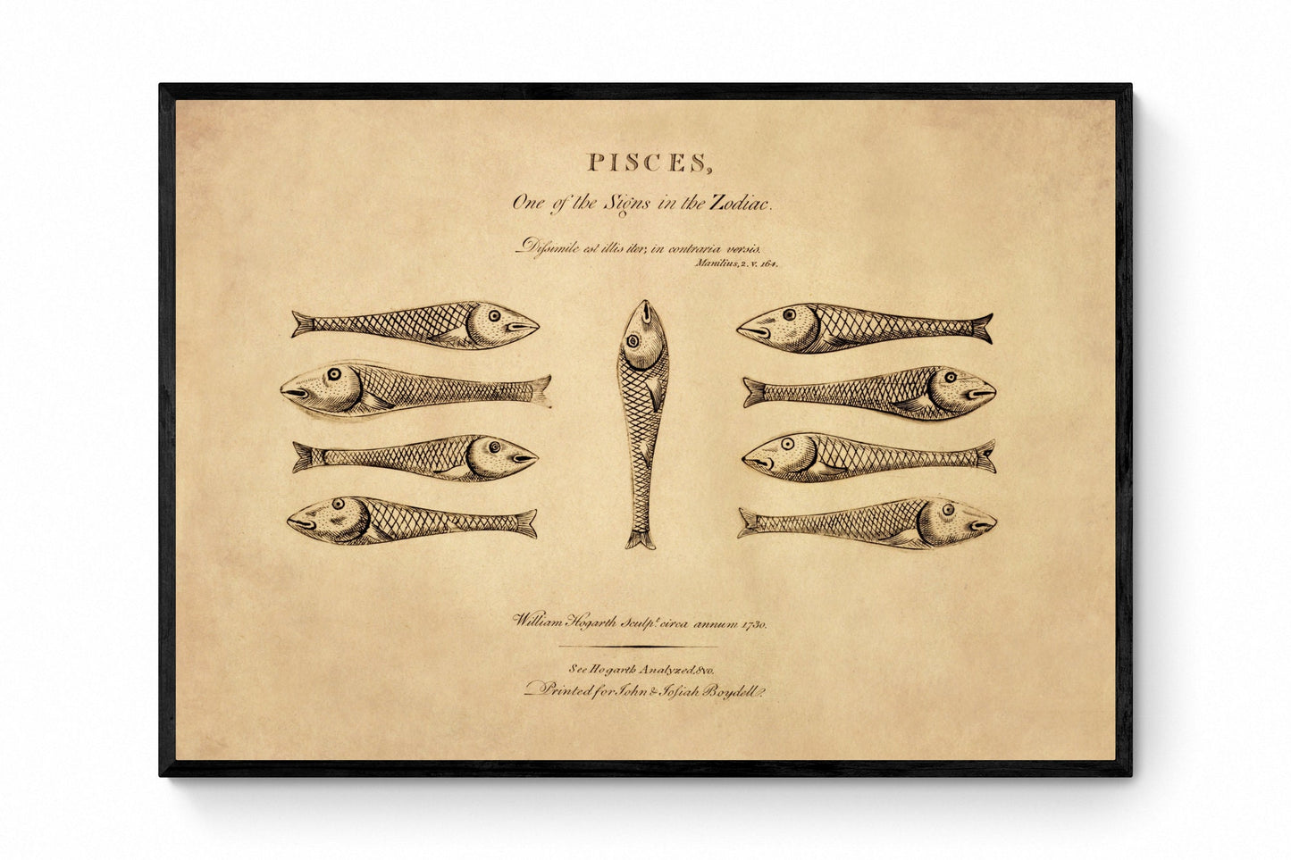 Pisces - Hogarth's Quadrille Fish - Antique Art Reproduction - William Hogarth - Star Sign - Zodiac - Astronomy - Celestial Art - Wall Decor