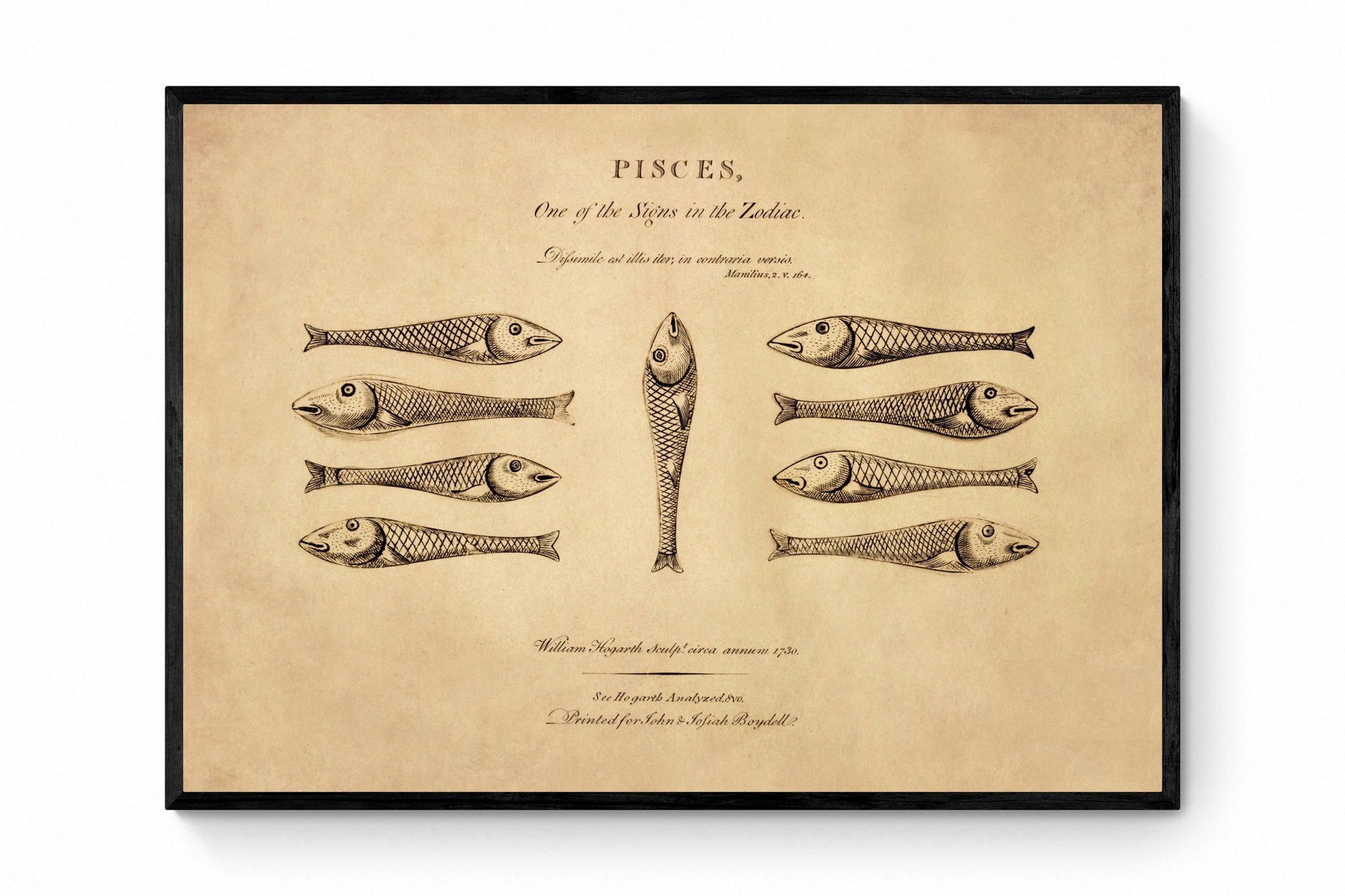 Pisces - Hogarth's Quadrille Fish - Antique Art Reproduction - William Hogarth - Star Sign - Zodiac - Astronomy - Celestial Art - Wall Decor
