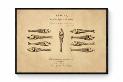 Pisces - Hogarth's Quadrille Fish - Antique Art Reproduction - William Hogarth - Star Sign - Zodiac - Astronomy - Celestial Art - Wall Decor
