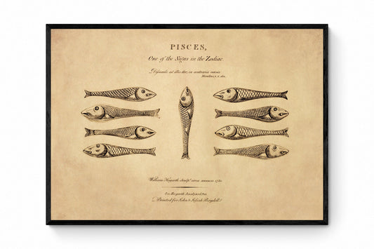 Pisces - Hogarth's Quadrille Fish - Antique Art Reproduction - William Hogarth - Star Sign - Zodiac - Astronomy - Celestial Art - Wall Decor