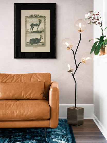 Gazelle and Elk Print - Antique Reproduction - Buffon 1775 - Animal Art - Natural History - Available Framed