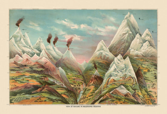 Nature in Ascending Regions Antique Reproduction 1893 – antique art print from Ninska Designs
