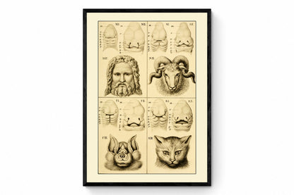 The Epitome of Astronomy or a Compendious View of our Solar System - Antique Reproduction - Planet - Available Framed