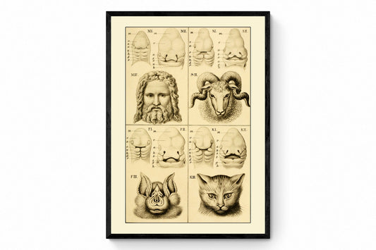 The Epitome of Astronomy or a Compendious View of our Solar System - Antique Reproduction - Planet - Available Framed