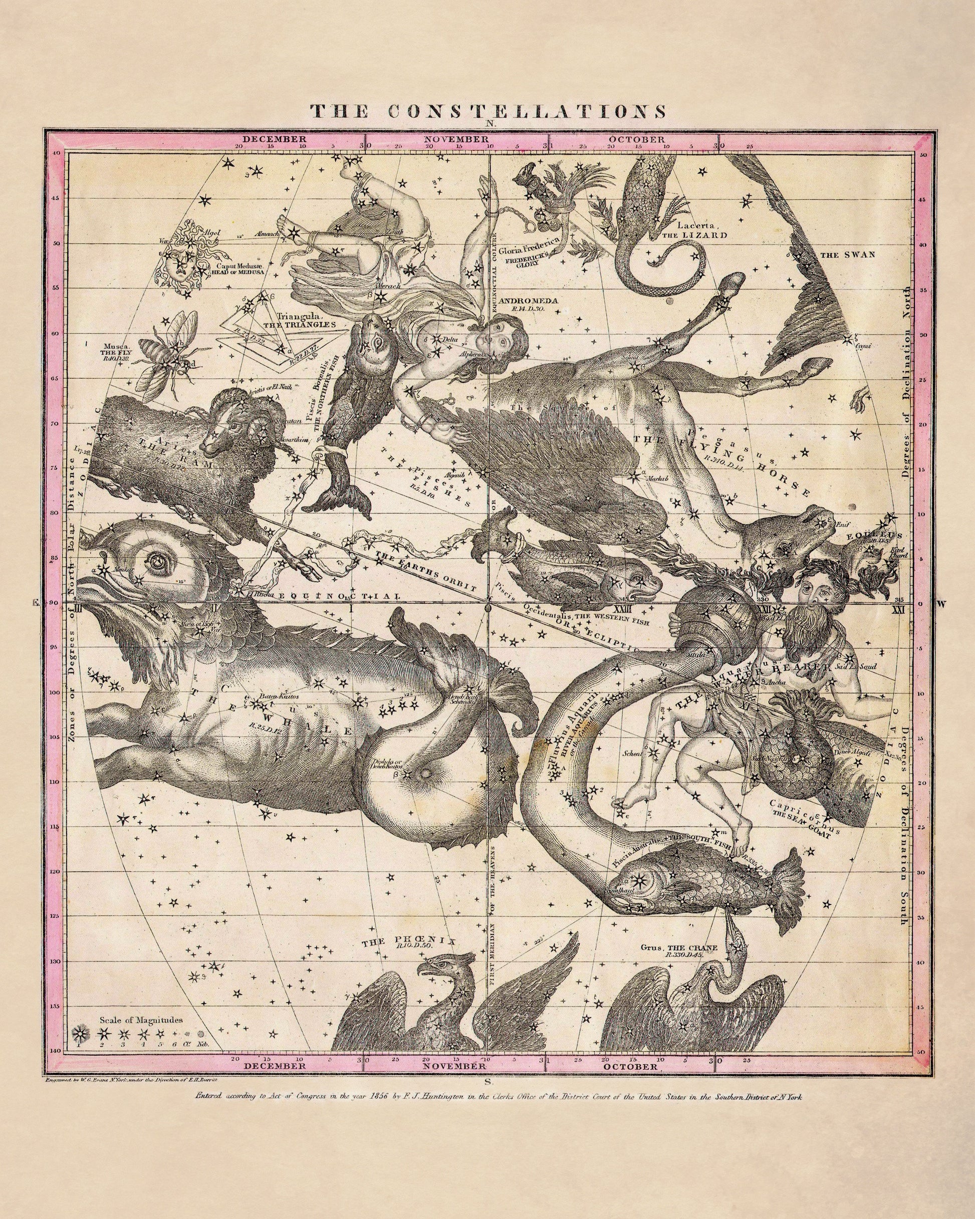 Constellations 1856