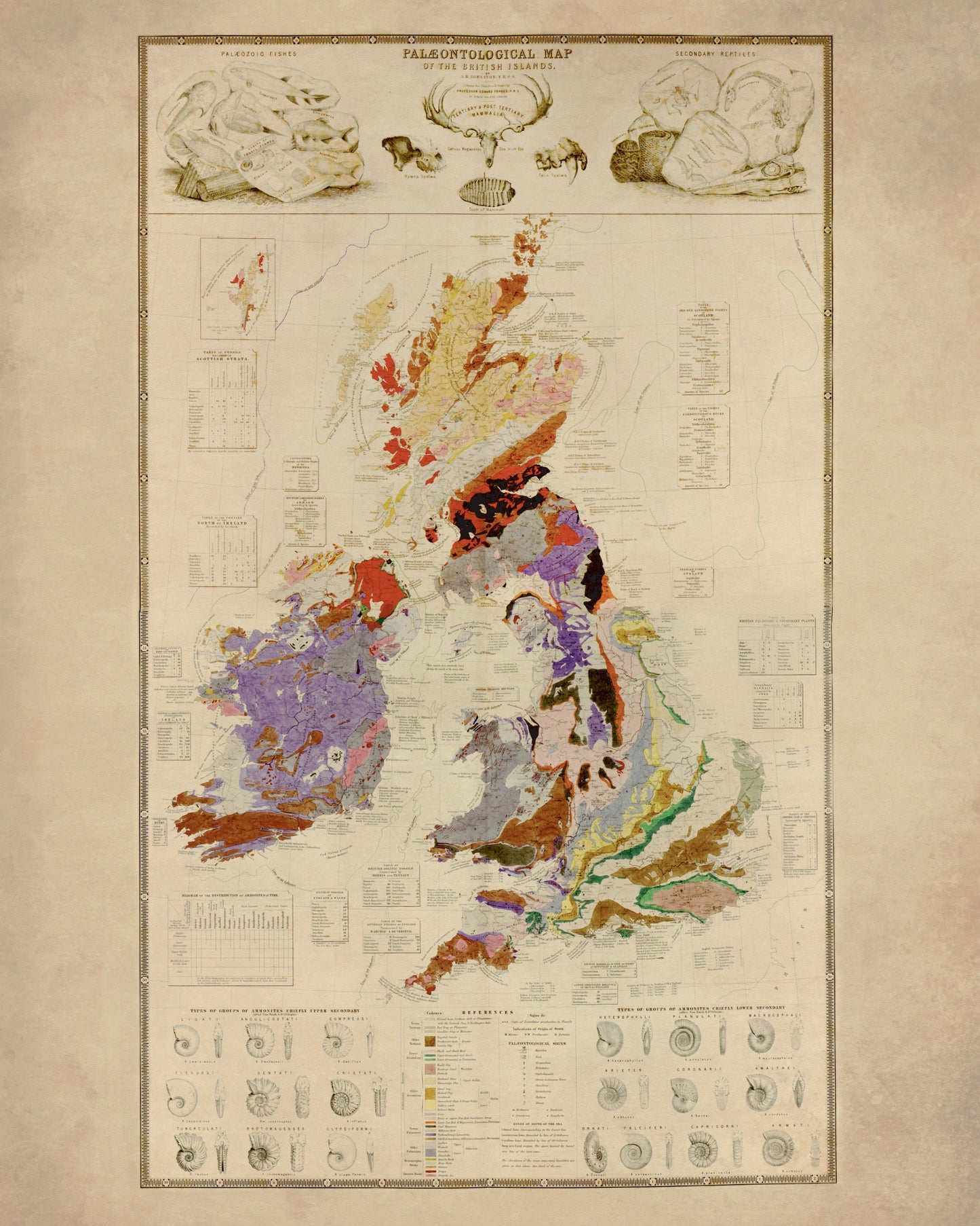 Palaeontological Map of the British Islands – antique art print from Ninska Designs