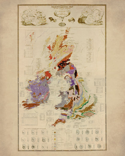 Palaeontological Map of the British Islands – antique art print from Ninska Designs