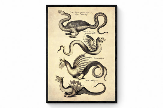 Dragons Print dated 1650 - Antique Reproduction - Mythological Creature - Vintage Art - Available Framed