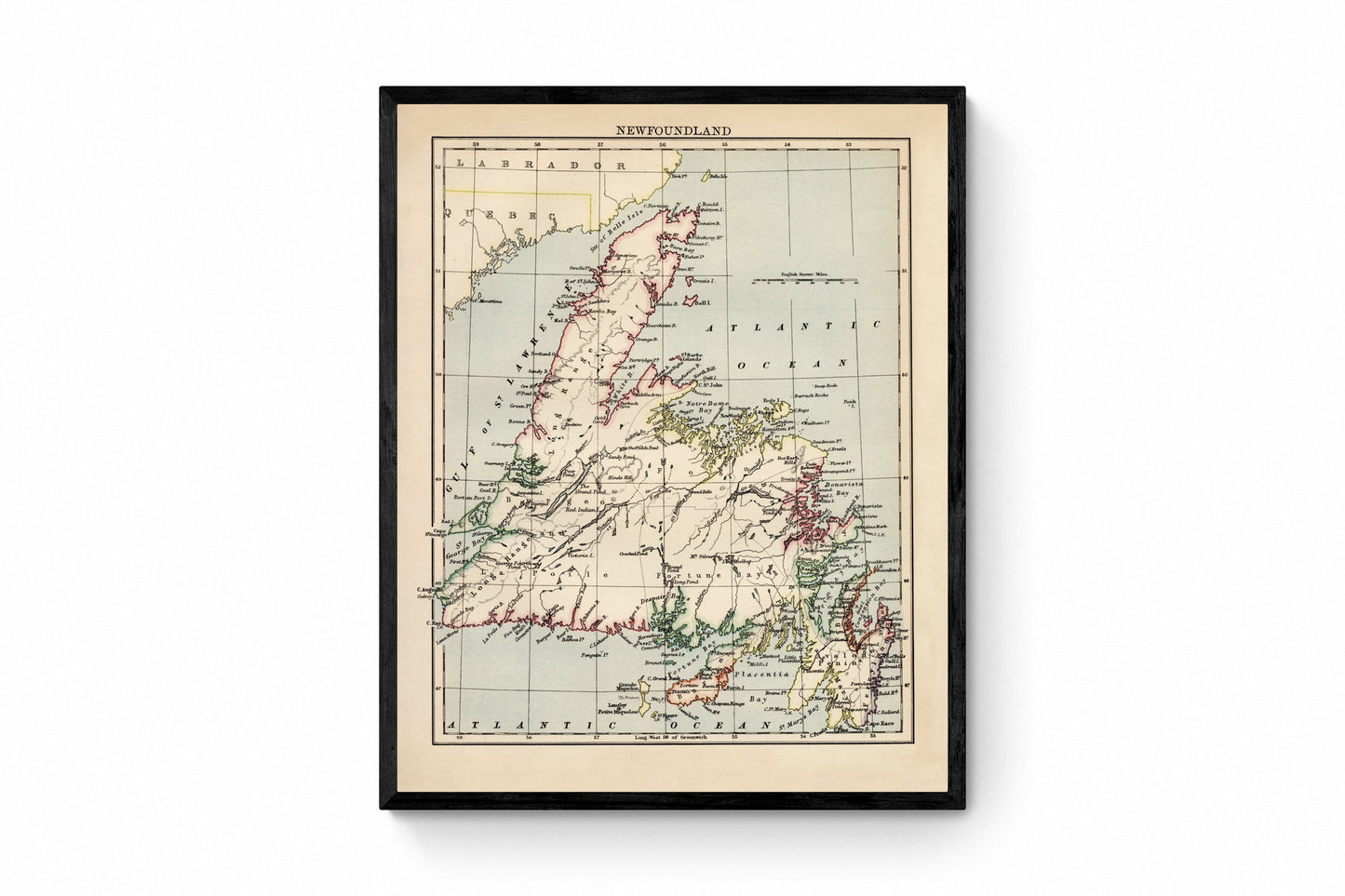 Newfoundland