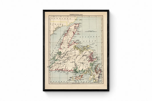 Newfoundland